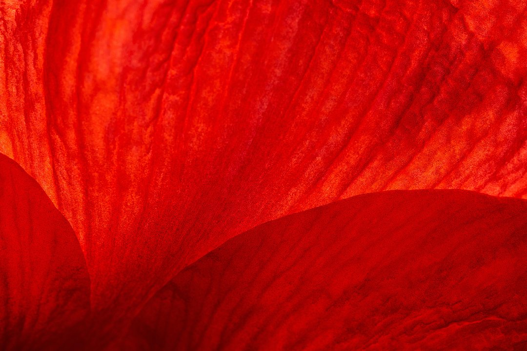 Red Thread Room